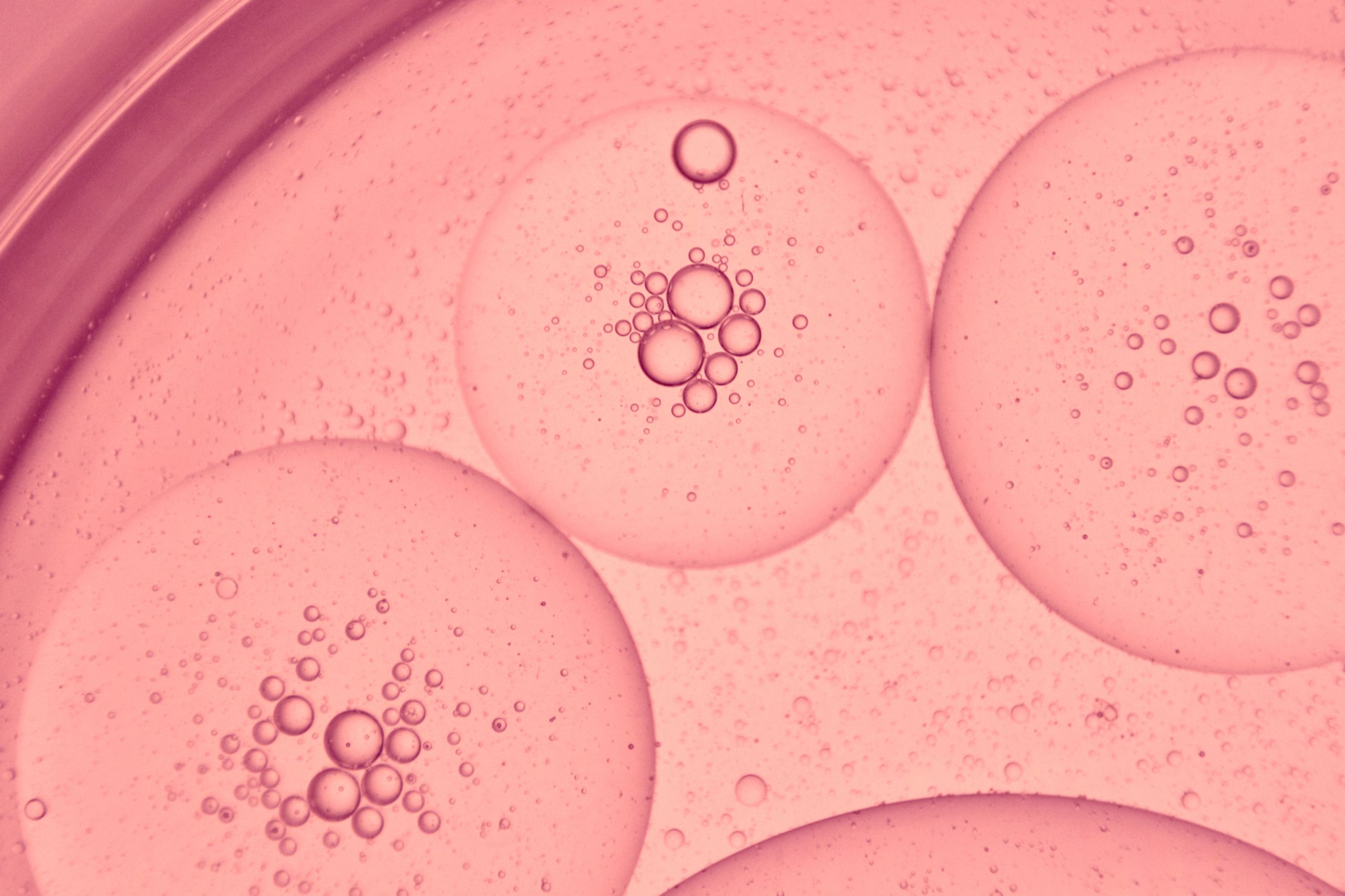 Stunning macro photo of pink oil bubbles in water, showcasing a microscopic view with intricate patterns.